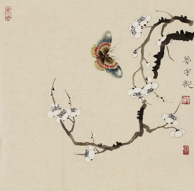 孙梦宇花鸟画作品赏析|资讯细腻情趣盎然【博宝情趣】最强-a资讯线条的说说0图片