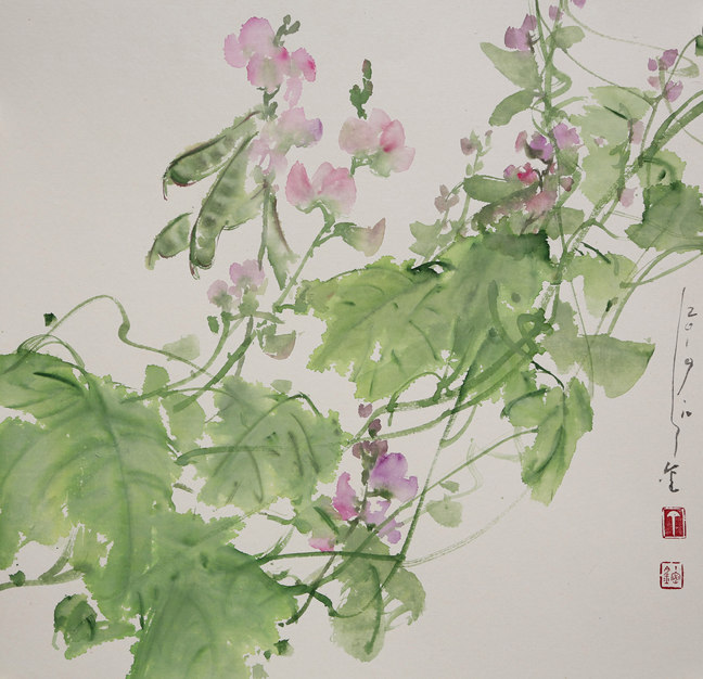 丁密金《扁豆花—1》50×50㎝  宣纸水墨2019年作.jpg